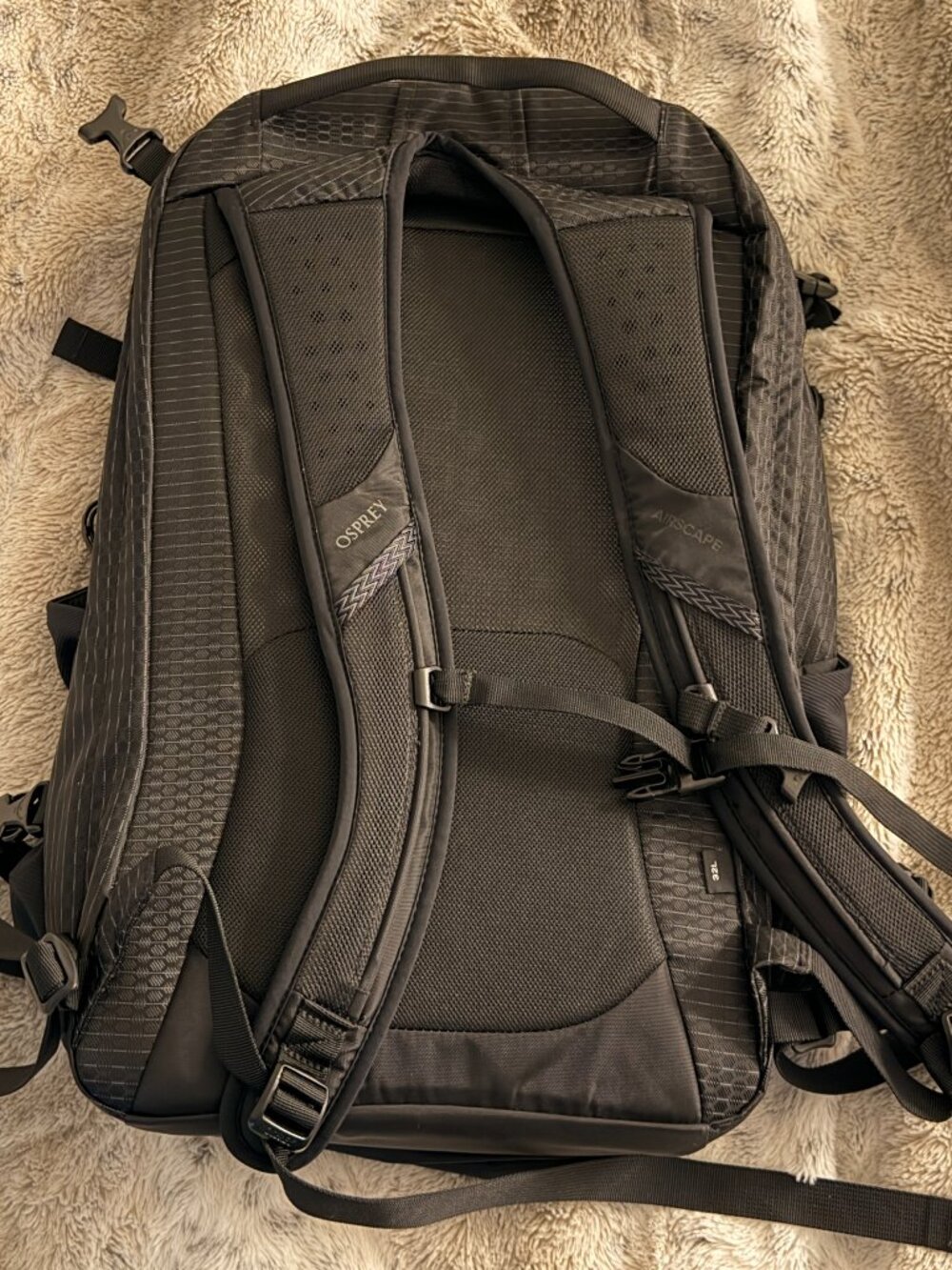Osprey Nebula 32 Black